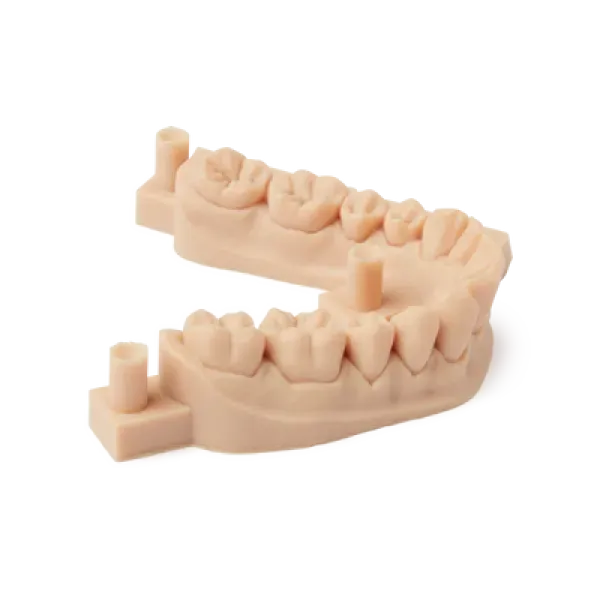 Formlabs Résine Dental Model V2 1L